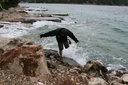gal/cro 08/_thb_small-IMG_5472.JPG